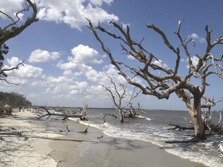 Air Protection Branch