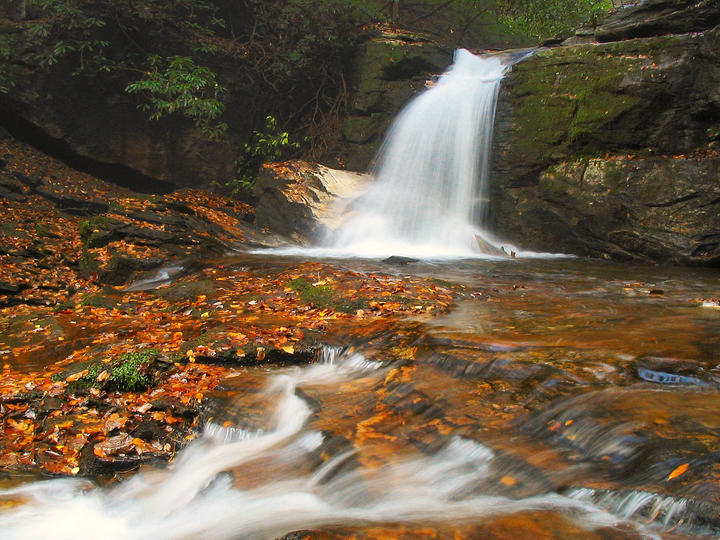 Watershed Protection Branch