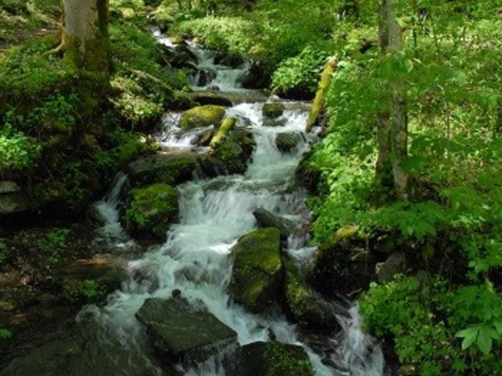 PFOA and PFOS Interactive Data Map