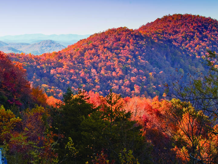 Photo credit: Explore Georgia