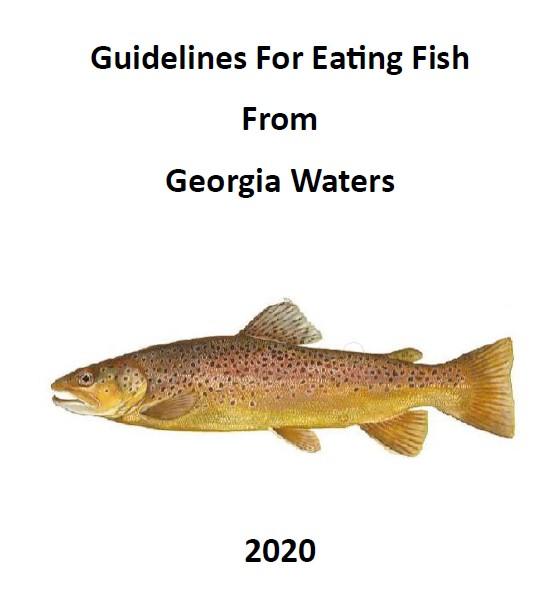 Guidelines For Eating Fish From Georgia Waters 2020