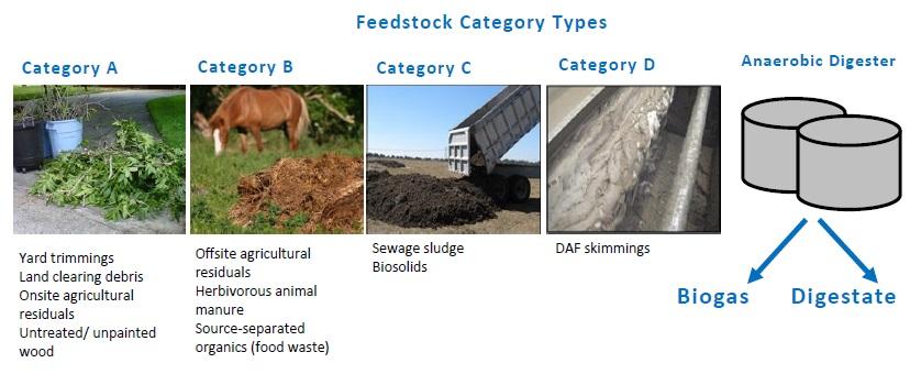 Anaerobic Digestion Feedstock 