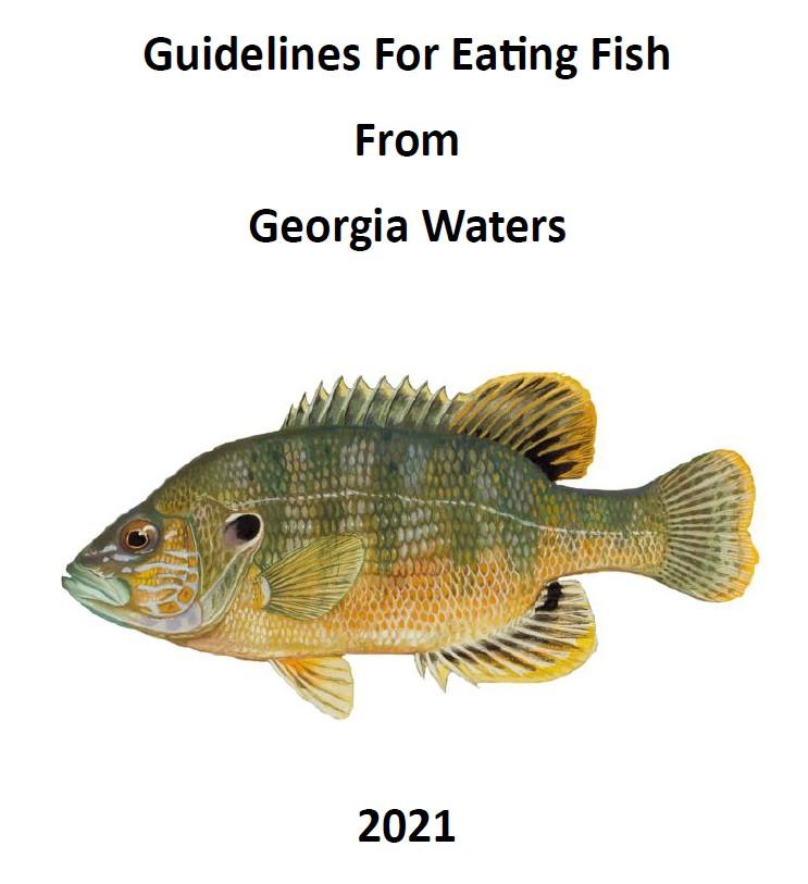 Guidelines For Eating Fish From Georgia Waters 2021