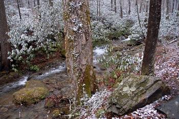 Water Quality Modeling 121229-014RabunCoGaTallulahHeadwatersWithSnow02 resized.jpg