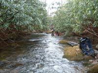 Macroinvertebrate Bioassessment Standard Operating Procedures (SOP) and Metric Spreadsheets Macroinvertebrate_Corey.jpg